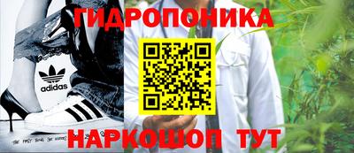 герыч Можга