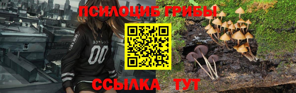 Чебаркуль  Галлюциногенные грибы Psilocybine cubensis  Вход с VPN 