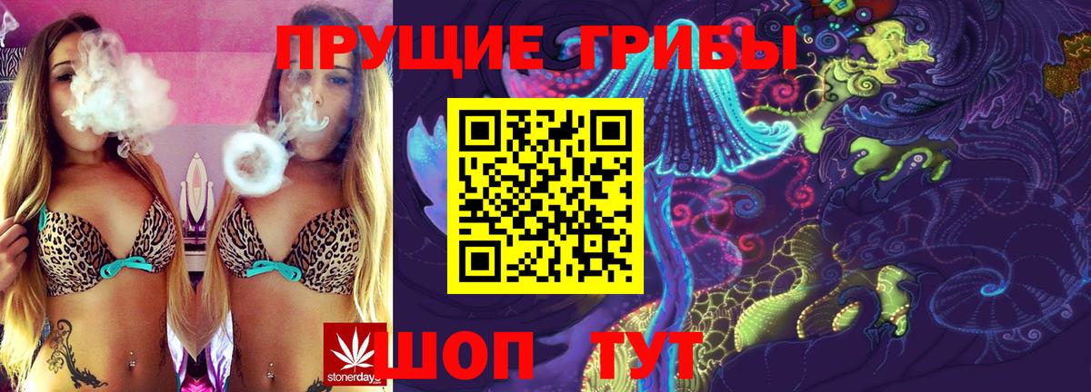 Псилоцибиновые грибы мицелий Чебаркуль